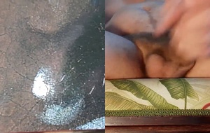 Arte e Prazer: Uma Jornada Íntima Inspirada por Vermeer